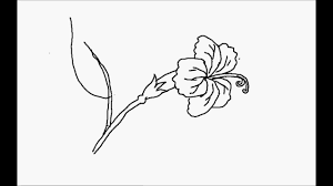 Alekhan Hibiscus Flower For Alekhan Design Youtube #alekhandrawing # how to draw alekhan step by step #designincircle. alekhan hibiscus flower for alekhan design