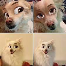 Social media app snapchat has introduced a new filter that 'disneyfies' a pet and makes them look 'cuter'. This New Snapchat Filter Makes Your Dog Look Like A Disney Character And Here Are 30 Of The Best Results Bored Panda