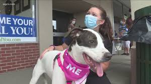 Check out our events calendar for seasonal occasions and special happenings. Pet Adoption Event Held Saturday In Tonawanda Wgrz Com