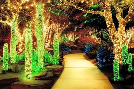 The Las Vegas Springs Preserve Lights Their Desert Garden With Hundreds Of Thousands Of Led Li Outdoor Christmas Christmas Garden Outdoor Christmas Decorations