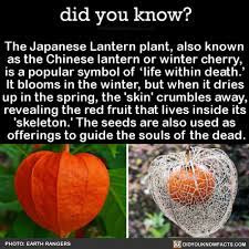 Pin On Green Thumb