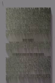 Image result for Triumfetta setulosa