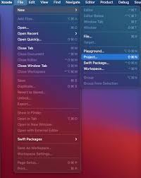 You can use this file to build the app. How To Develop An Ios App 5 Steps Process