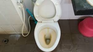 Check spelling or type a new query. Toilet Bowl Ring 3 Different Types Ask A House Cleaner