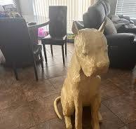 What is the best glue for a papier mache dog structure?