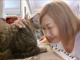 We are from Chua Chu Kang Crescent Community Cats Committee (CCK CCC). We  rescued this lost kitten two months ago.