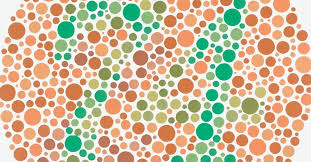 Image result for Color Blindness