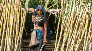 splainer.insitemap.xml