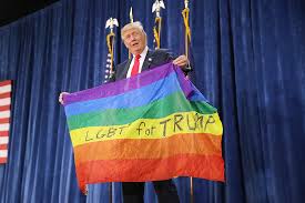 I feel like having a million and one different flags makes our rights seem more like a quirky hobby or personality trait than a real cause. Inclusive Or Hypocritical Mixed Reviews For Trump Campaign S Lgbtq Merchandise