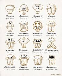 Spider Eye Arrangements Spider Face Pet Spider Spider Drawing