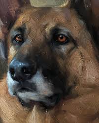 Jennifer Gennari On Instagram Close Up Of This Beautiful Girl A Life Of Riches To Rags And Back To Riches And Apparentl In 2020 Pet Portraits Dog Paintings Dog Art