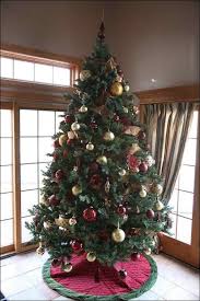 Long Life To Your Christmas Tree From Boiling Water Notes On Notes Find the perfect christmas tree image from our incredible photo library. long life to your christmas tree from