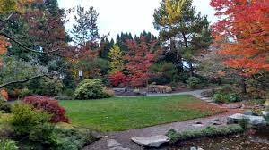 Central Lawn At The Yashiro Japanese Garden Olympia Washington Japanese Garden Garden Lawn