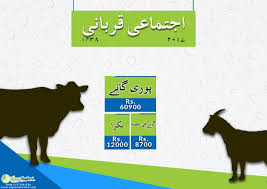 Shubham srivastava 93 4 aylar önce +4. Cow And Goat Qurbani