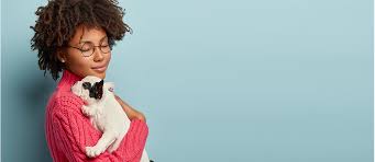 You must be certified as emotionally disabled by a psychologist, therapist, psychiatrist, or other duly licensed and/or certified mental health professional. Emotional Support Animals The Basics Transitions To Adulthood