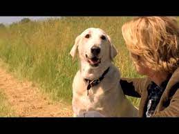 Check spelling or type a new query. Marley Ich Trailer Youtube