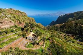 Exploring tivity health (nasdaq:tvty) stock? La Gomera Die Magische Insel Aktivitaten Auf La Gomera Gettivity