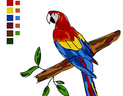 guacamaya projects photos videos logos illustrations and branding on behance guacamaya projects photos videos