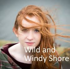 Wild and Windy Shore