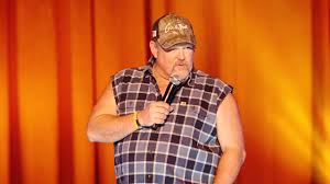 You still mad because detroit builds a car and nascar makes it run? Larry The Cable Guy Remain Seated Netflix