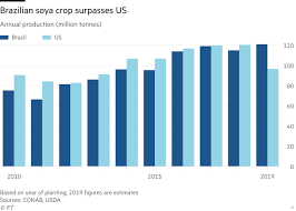 Image result for Brazzeia soyauxii