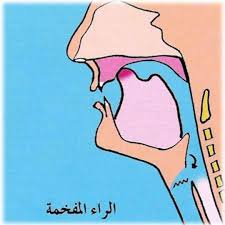فكل حروف الاستفالِ مرقَّقة، لا يجوز تفخيم حرف منها إلا اللام والراء في بعض الأحوال، أما الألف، فهي تابعة لِما قبلها في التفخيم والترقيق. ÙƒÙŠÙÙŠØ© Ø¹Ù„Ø§Ø¬ Ù„Ø¯ØºØ© Ø­Ø±Ù Ø§Ù„Ø±Ø§Ø¡