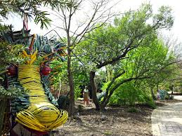 Visitors can see about 6,500 plants on display, from all around the world. Family Fun Explore The Beauty Of Floral Gardens At J C Raulston Arboretum Visitraleigh Blog