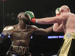 Scusa merda se ti chiamo varriale. Pugilato Wilder Fury Atto Secondo Stanotte Il Mondiale Dei Massimi Piu Importante Del Millennio Corriere It