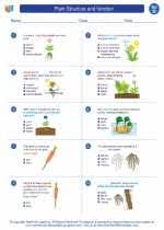 Lead students through the attached worksheet (see sketching plant structures). Plant Structure And Function 4th Grade Science Worksheets And Answer Keys Study Guides And Vocabulary Sets Michigan Academic Standards