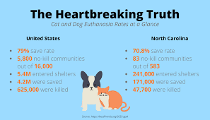 It's not much when you consider the high cost of the cremation services we almost always outsource, the administrative cost of controlled drugs and the fact that relatively few of us have the. Animal Shelters Are Working To Reduce Euthanasia Rates Chapelboro Com