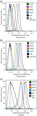 Abberior® star 512, maleimide for sted application sigma 03004. High Throughput Sorting Of An Anticalin Library Via Espp Mediated Functional Display On The Escherichia Coli Cell Surface Sciencedirect