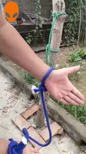 online shopping for gadgets with free worldwide shipping video video survival knots knots guide knots diy