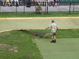 Steve irwin came into the spotlight with wildlife documentary series the crocodile hunter in 1996. Steve Irwin Steckbrief Promi Geburtstage De