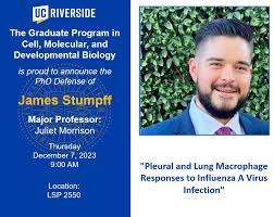 Juliet Morrison, PhD