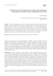 Image result for Polysphaeria