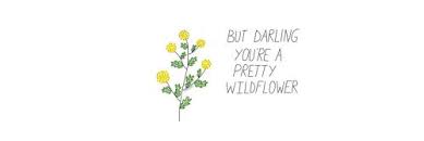 Pink Twitter Header Tumblr Twitter Header Quotes Twitter Header Header Tumblr