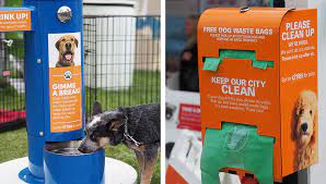 Adapting Urban Environments For City Pets A Q A