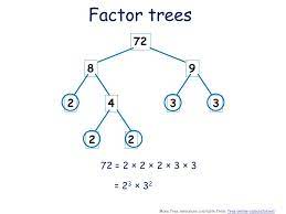 In this lesson, use factor trees to teach students the concept that a composite number is written as a product of all of its prime factors. Prime Factor Form 18 Mar 16 More Free Resources Available From Free Online Calculator Netfree Online Calculator Net Ppt Download