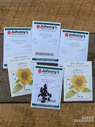We did not find results for: When To Plant Sunflowers 3 Options For Lots Of Beautiful Blooms