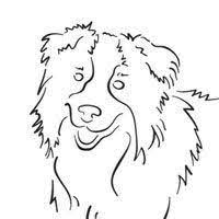 Cute coloring page with a dog holding a heart in his teeth. Border Collie Coloring Pages Surfnetkids Border Collie Colors Border Collie Art Dog Coloring Page