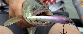 To Bobber, Or Not? | Seeking Trout