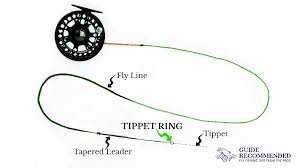 What Is A Fly Fishing Tippet Ring And How To Set Them Up