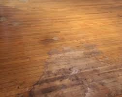 How To Give A Wood Floor Face Lift Without Sanding Stripping Or Priming Diy In 2020 Painted Hardwood Floors Refinish Wood Floors Painted Wood Floors