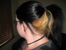 The outcome of your hair color can change due to a few factors, like the color you're starting off with and your hair's condition. Ten Things You Should Do In Blonde Hair With Black Underneath Blonde Hair With Black Underneath The World Tree Top