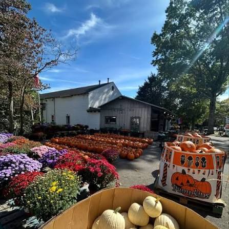 Dowse Orchards