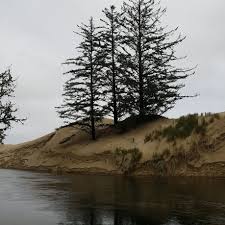 Burlington plumbing services is a locally owned and operated business enterprise servicing the burlington, wa with over 20 years of experience in the residential and commercial plumbing industry. Top 10 Best Plumbers In Seattle Wa Angi Angie S List