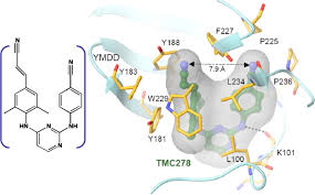 Image result for Non-Nucleoside Reverse Transcriptase Inhibitor