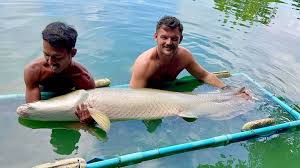 🔥🙌🎣 Mixed Bag 🎣🙌🔥, Samuel Driver visited Gillhams for the second  time, this time with his friend Calum Dacey. The Leicester-born mates  stayed at the resort for seven days and fished for six of those., ...