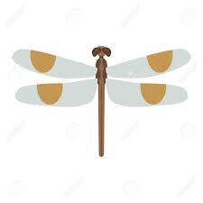 Check spelling or type a new query. Libelula De Dibujos Animados Y Plana Libelula Azul Libelula Verano Hermosa Fragilidad Caballito Del Diablo Libelula Emperador Azul Anax Imperator Masculina Con Grandes Ojos Naturaleza Ilustracion Vectorial Animal De La Fauna De