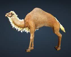 There is no better animal to traverse the desert than the noble continue this thread level 1. Bdo Fashion Brown Camel Black Desert Online